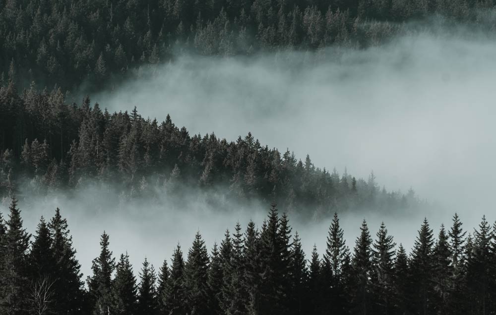 Nature2